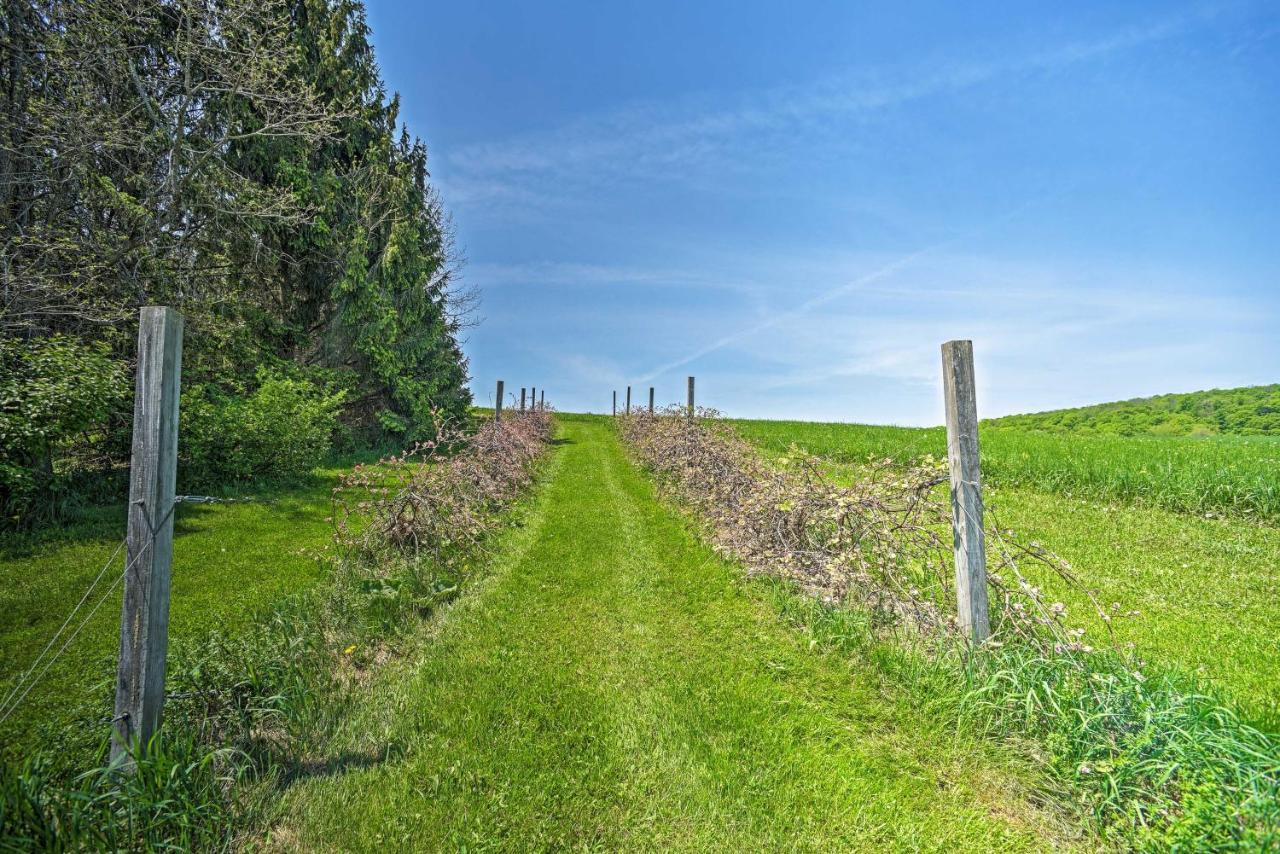 Country Escape With Sauna, 10 Mi To Cooperstown Richfield Springs Екстериор снимка
