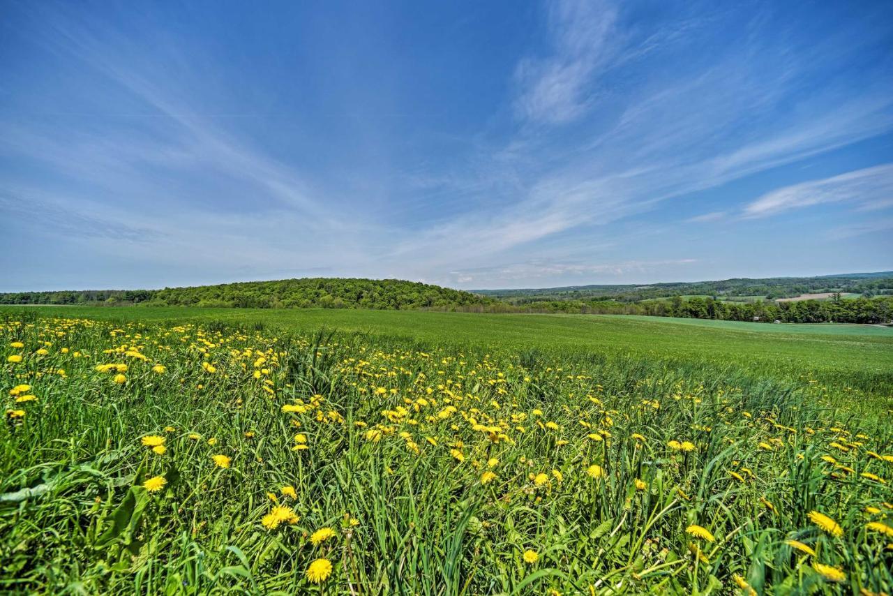 Country Escape With Sauna, 10 Mi To Cooperstown Richfield Springs Екстериор снимка